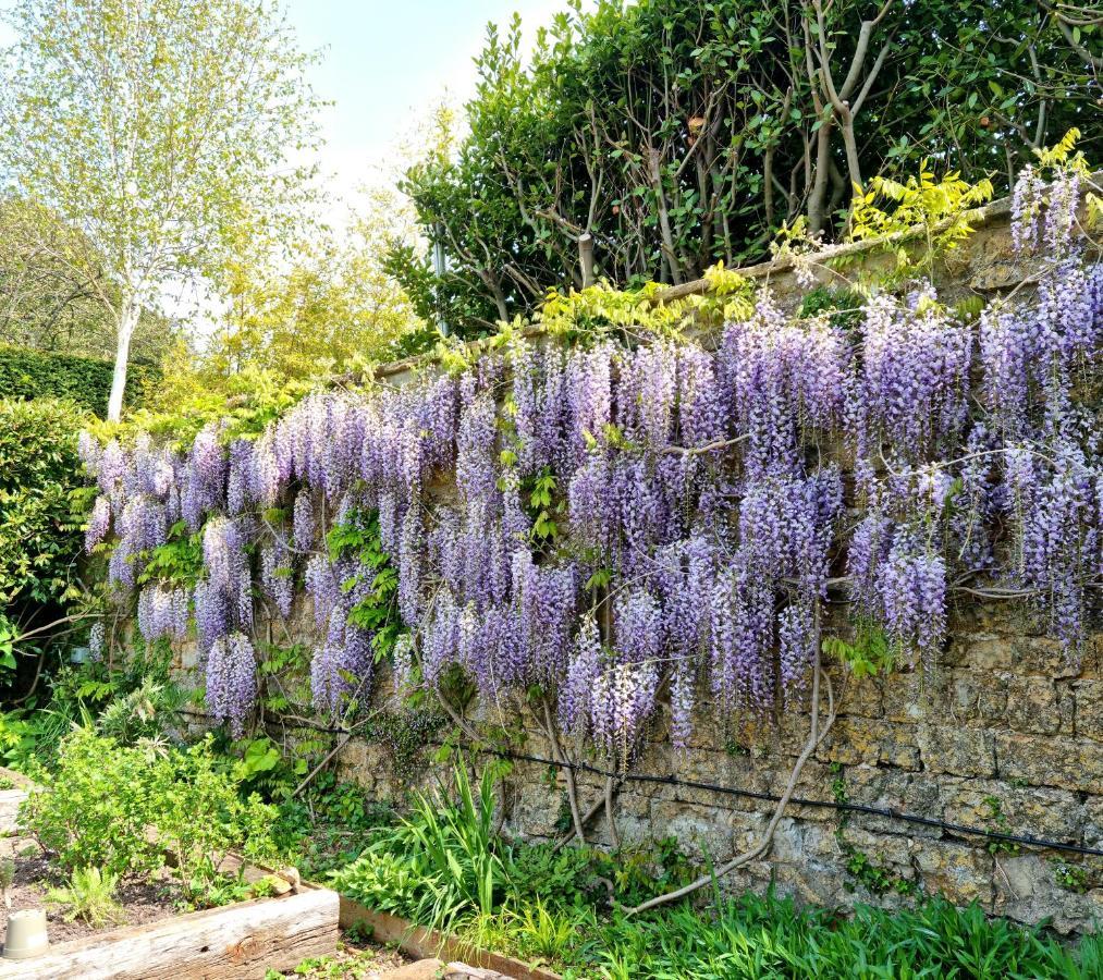 The Ollerod Hotel Beaminster Luaran gambar